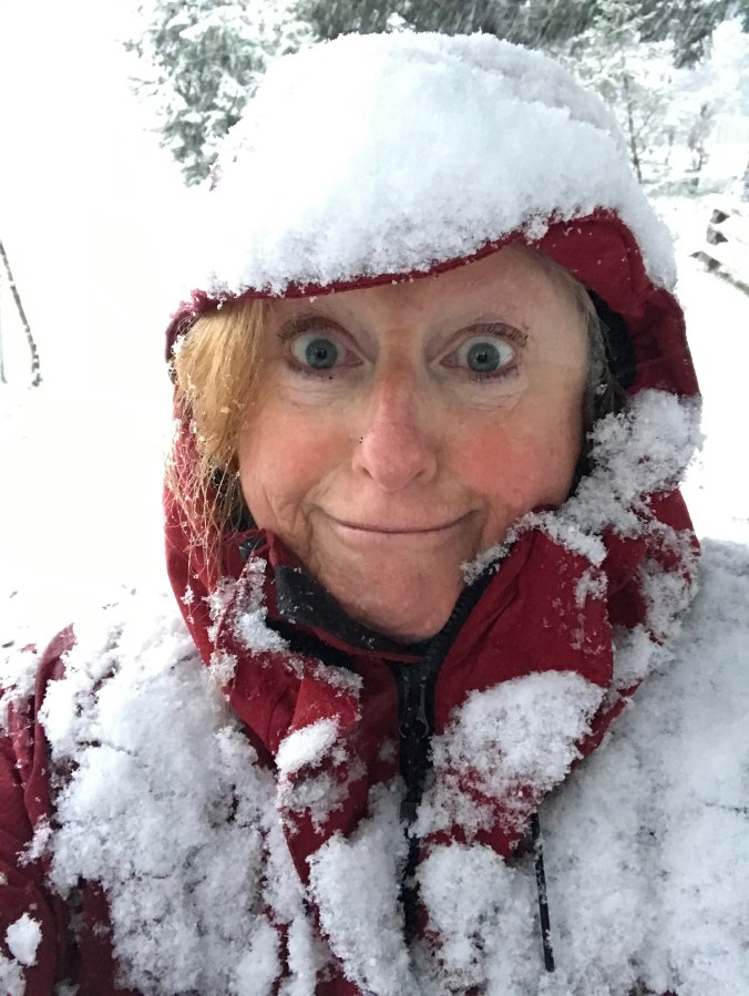 Snow Dazed and&nbsp;Confused