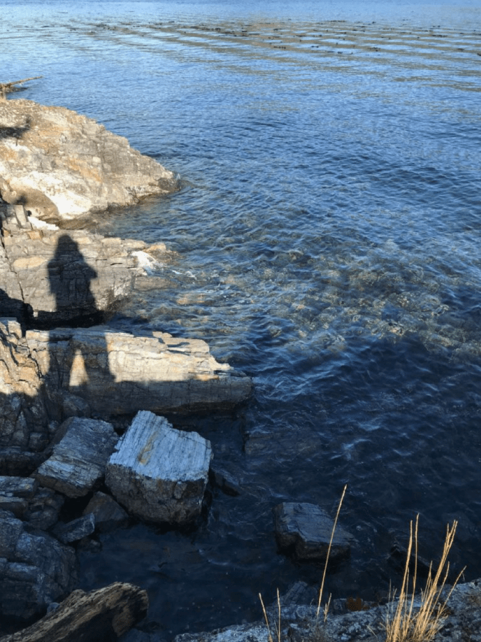 Not in Kansas&nbsp;Anymore